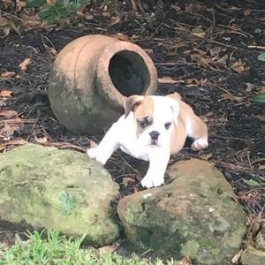 Meet your Posher, Elma